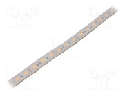 S010060CB1LZ (WARM WHITE IP65)