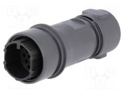 PXP6011/16P/CR/0910