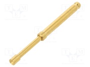 TK36L.09.2,50.S.170.A