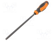 PGT881