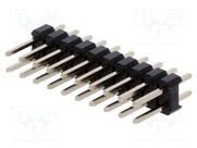 DS1021-2*10SF11-B