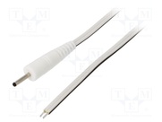 P07-TT-T050-050WH
