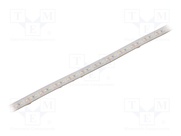 S010120BB1LZ (COLD WHITE IP65)