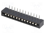 DS1020-12RT1D