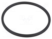 10-104.14X005.33  X-RING  FPM