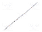 HH-S120F006-3014-24 WW WHITE PCB IP20