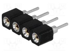 DS1002-01-1*4V13-JK