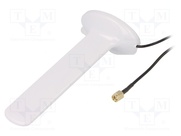 5G-ANT-CP01W