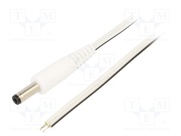 P48-TT-T050-150WH