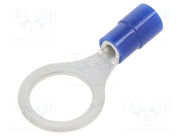 TMEX 2-10-BLU
