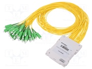 FPLC-G0-2-132-20-1-3-X1-7-SCA-SCA