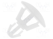 FIX-RCG-3.5