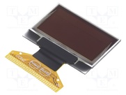 REX012864MXPP3N00001