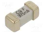 SEF 0.375A 125V (G)