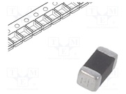 NCP18XV103J03RB