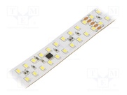 S020240BC1DC0 (COLD WHITE)
