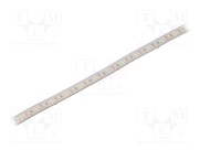 S010120BB1LZ (NEUTRAL WHITE IP65)