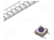 LL3301NF065QG