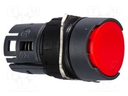 ZB6AA4