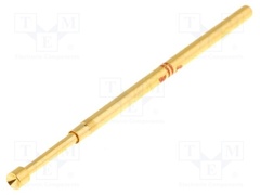 IT100-P22