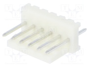MUSS100-06-C_E