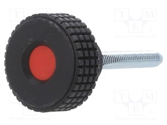 MBT.30 P-M6X40-C6