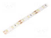 HH-S60F010-2835-12 NW WHITE PCB IP65