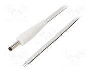 P40-TT-T050-050WH