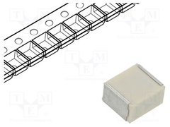 F161WP223K250V