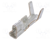 SPH-002T-P0.5L