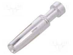 VN0202500371C