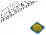 PTS530GM055SMTRLFS