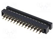 DS1018-02-28B2
