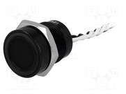 PS165P10YBK1W12V