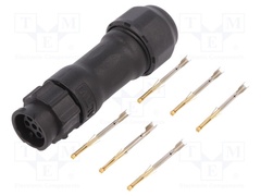 BD-06BMFA-QL8MP0