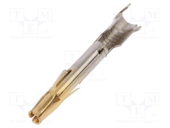 ASSP-20-F-A-C-SB