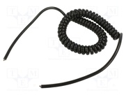 SPT00039C