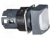 ZB6CF1