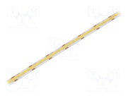 HH-SW480F008W12-COB-R