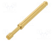 TK36N.07.2,50.S.170.A