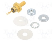NTE5182A