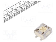 TS53YL501MR10