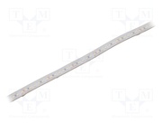 S010120BC1LZ (COLD WHITE IP65)
