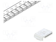 MF-SM185/33-2