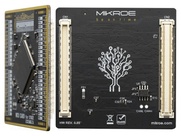 SIBRAIN FOR STM32F207ZG