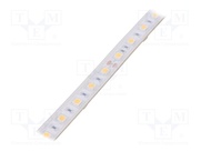 S010060CC1LZ (WARM WHITE IP65)