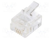 RJ126P4CR