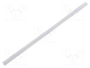 X 0119 UN TRANSPARENT