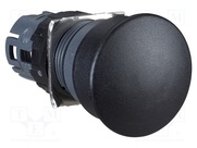 ZB6AC2