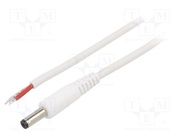 P48-TT-C100-050WH